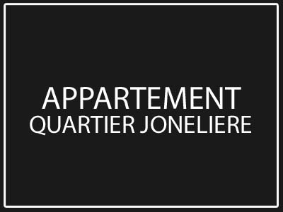 appartement joneliere