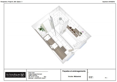 Salle de bain Exemple 2 Conception 1